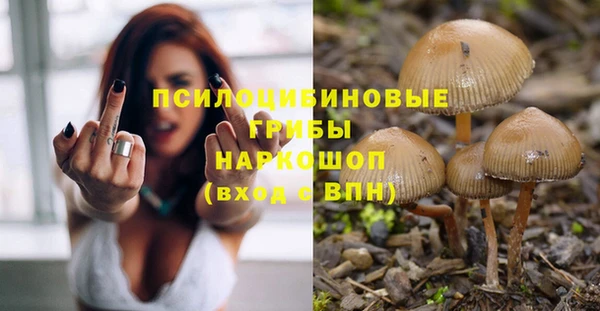 ПСИЛОЦИБИНОВЫЕ ГРИБЫ Бежецк